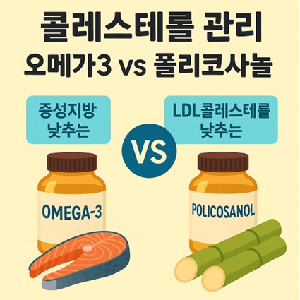 콜리스테롤 영양제 오메가3와 폴리코사놀 그림