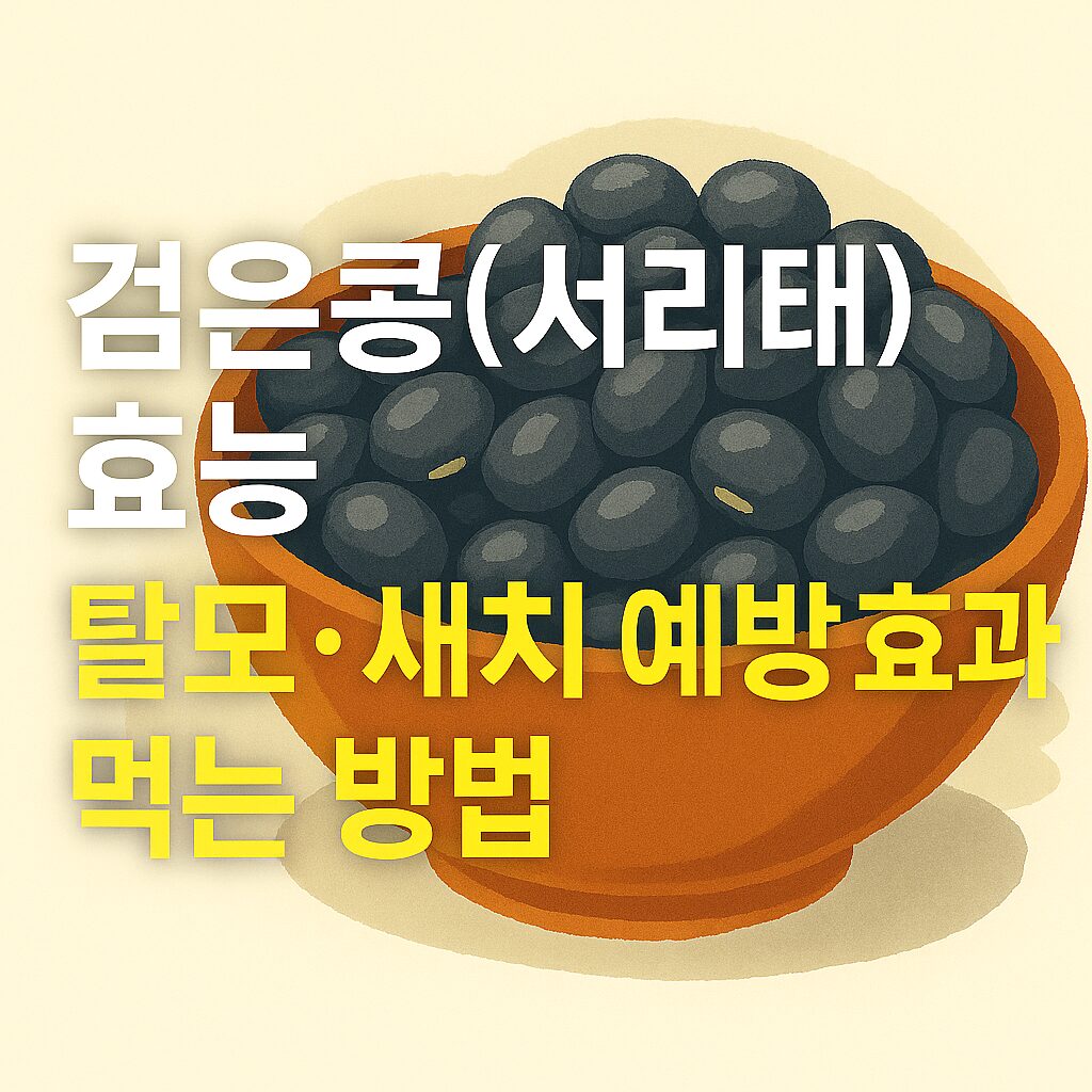 검은콩은 그릇에 담겨있고, 그 앞에 검은콩(서리태)의 효능이라고 적혀있는 이미지